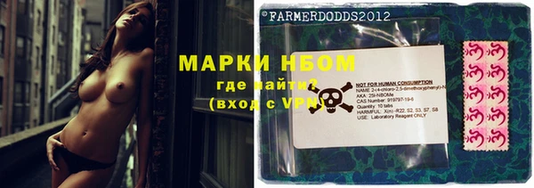 ГАЛЛЮЦИНОГЕННЫЕ ГРИБЫ Абаза