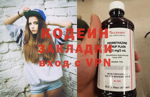 ГАЛЛЮЦИНОГЕННЫЕ ГРИБЫ Абаза