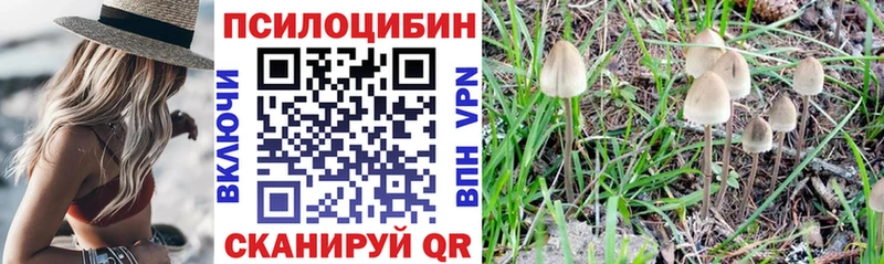 наркошоп  Каменногорск  Галлюциногенные грибы MAGIC MUSHROOMS 